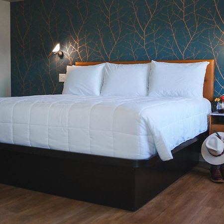 City Center Motel Гамільтон Екстер'єр фото